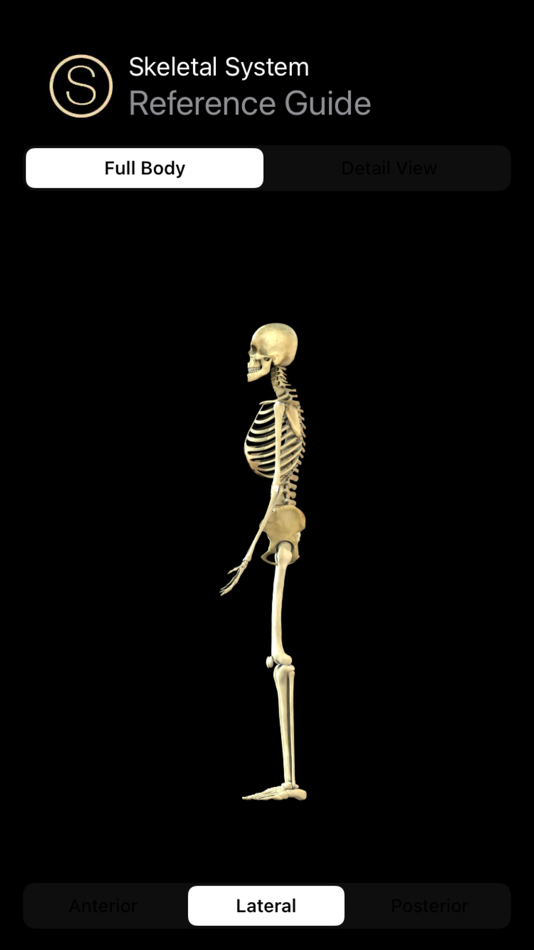 #3. Human Skeleton Reference Guide (macOS) 由: Ryan Bittorf