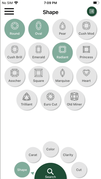 Sagy Koren Ltd. Screenshot