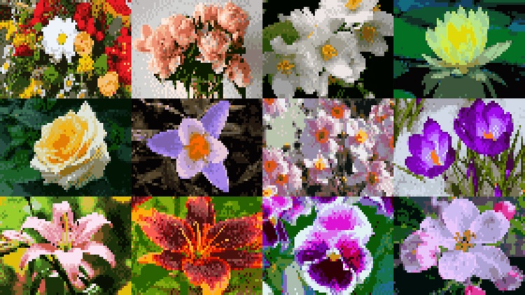 Cross Stitching Flowers