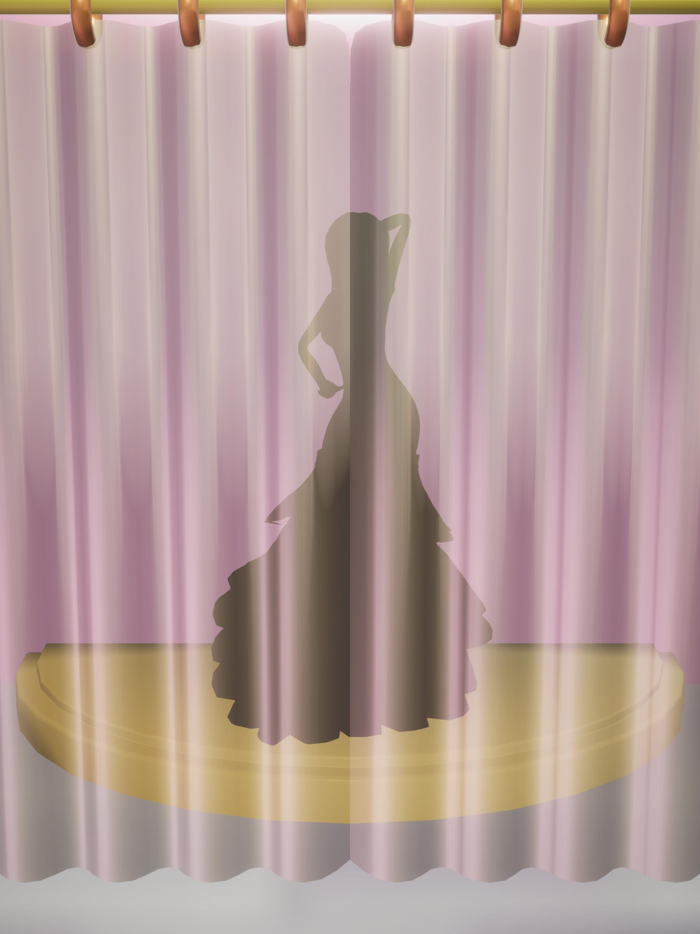 Mystery Fashion Show