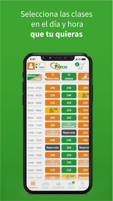 Torcal Autoescuelas Screenshot