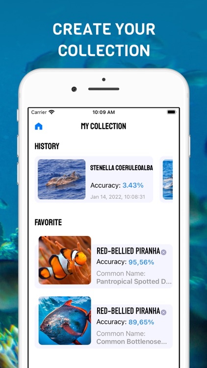 Fish Identifier - Fish Verify screenshot-4