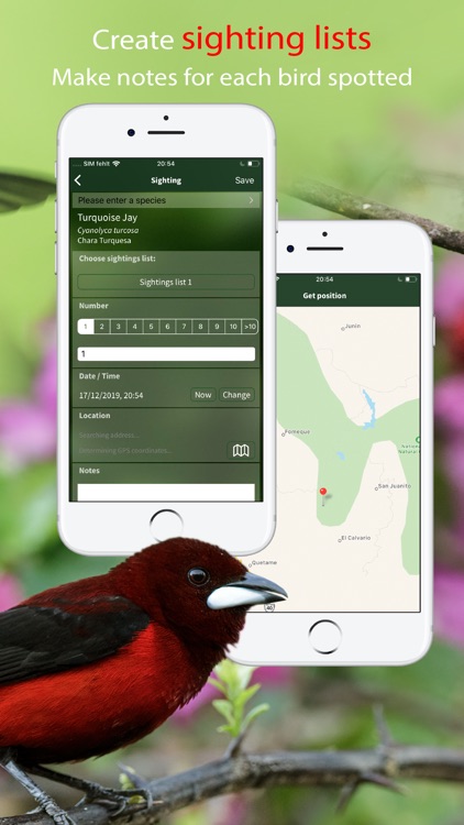 All Birds Colombia field guide screenshot-8