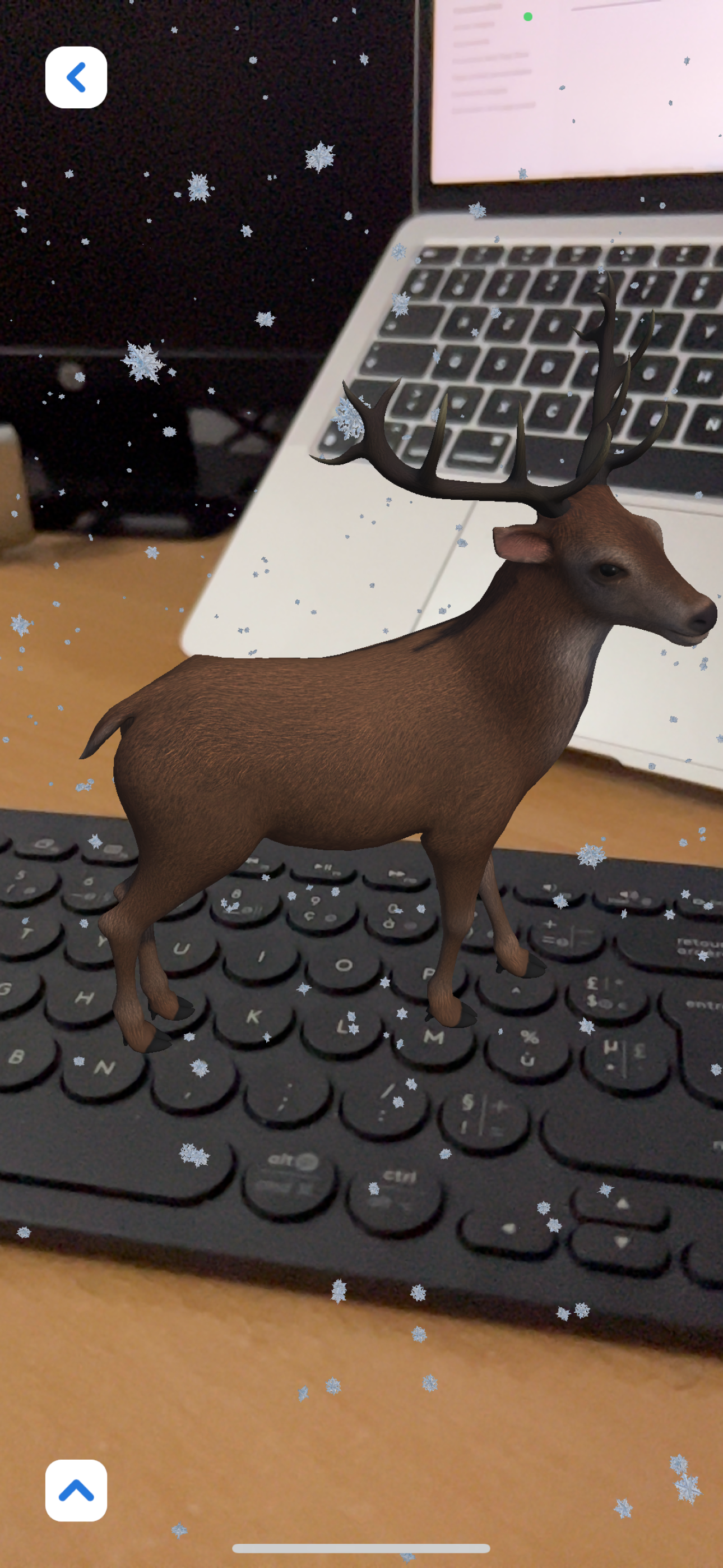 Snowfall AR screenshot 5