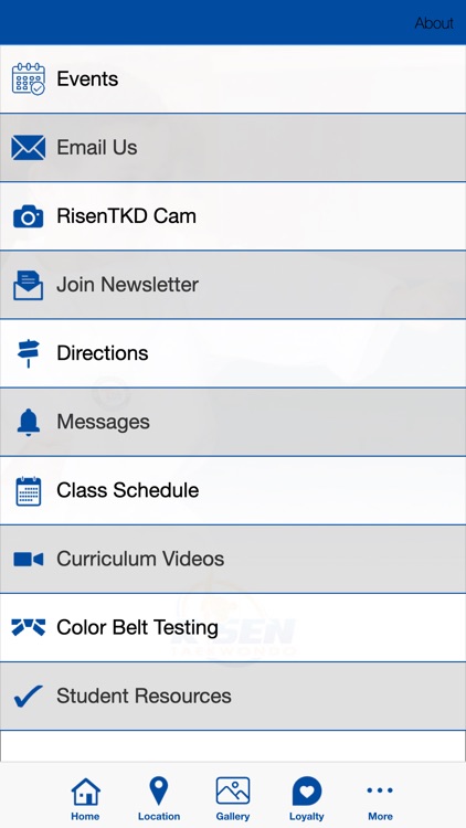 Risen Taekwondo screenshot-3