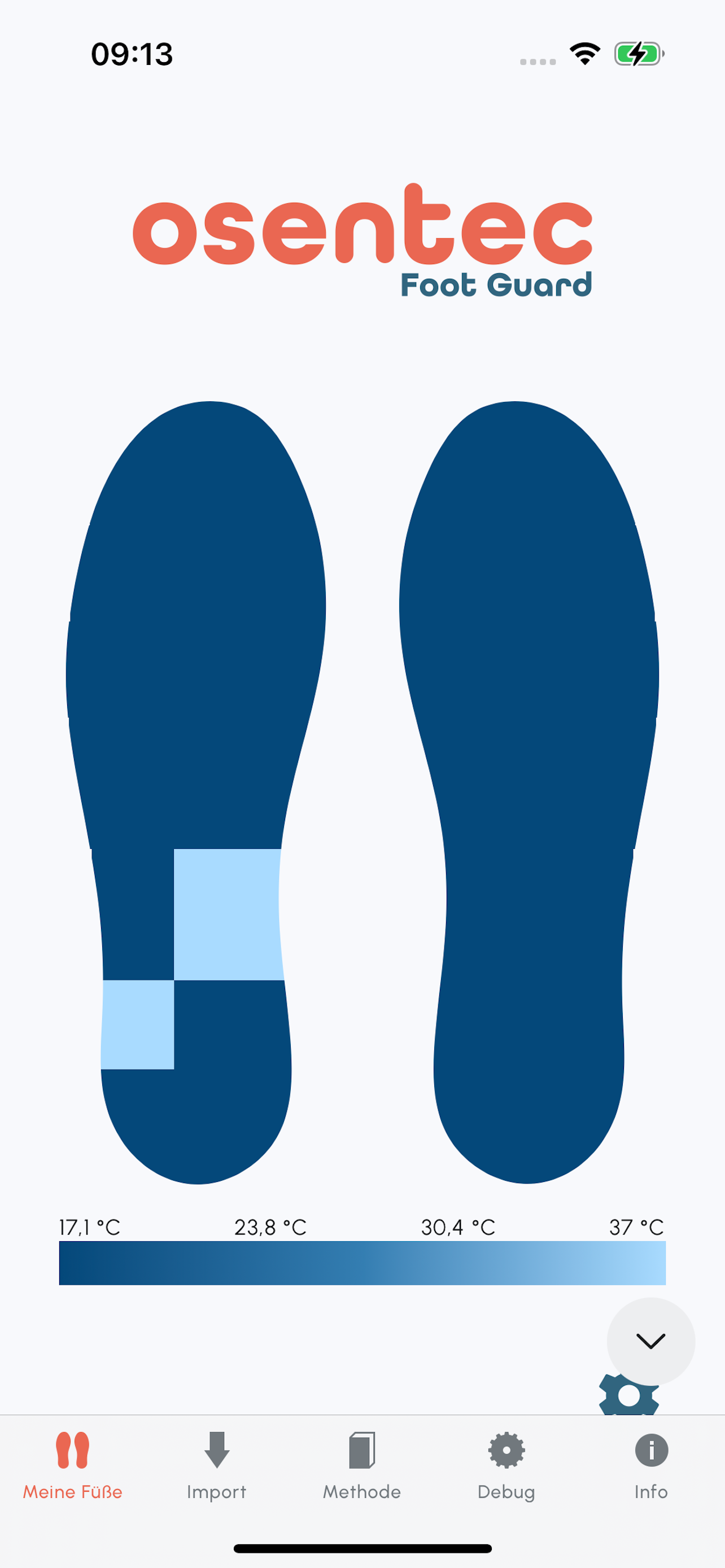 Foot Guard screenshot 3