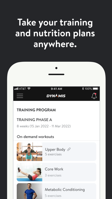 Dynamis Screenshot
