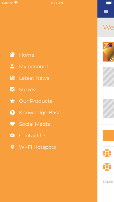 myLiquid Home Zimbabwe Screenshot