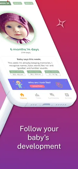 Game screenshot Pregnancy Tracker-Week By Week apk