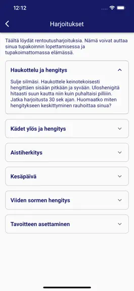 Game screenshot Suunta apk