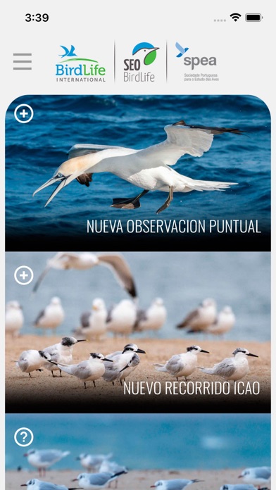 ICAO SEO Birdlife Screenshot