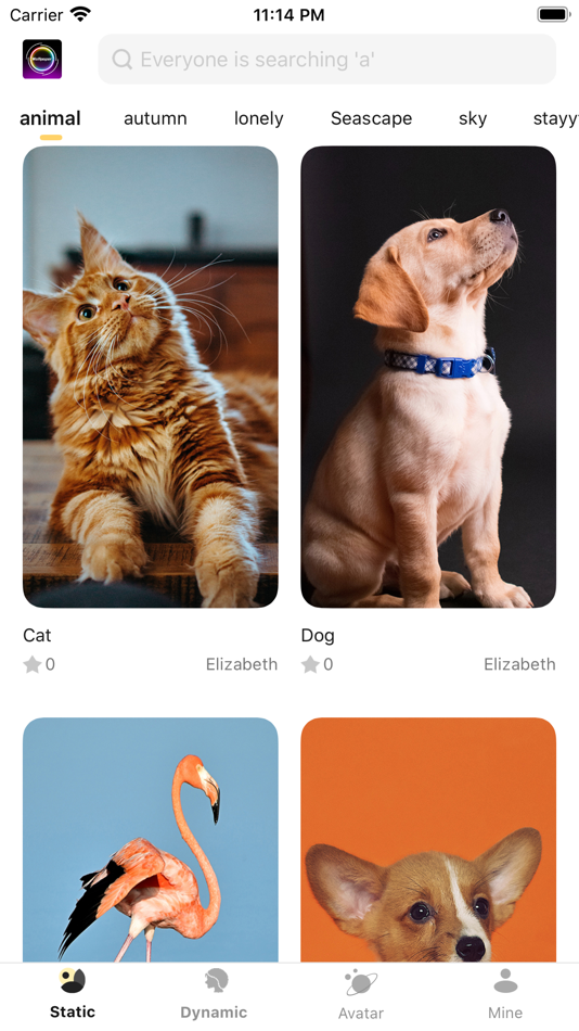 #8. MetaWallpaper (iOS) 由: 美兵 符