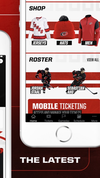 Carolina Hurricanes Screenshot
