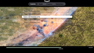 AirReceiver - for AirStreamer screenshot #2 for Apple TV