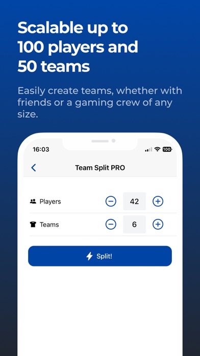 Team Split PRO Screenshot