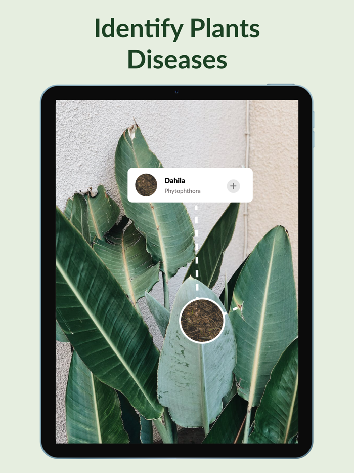 Plant Identifier andDisease Care