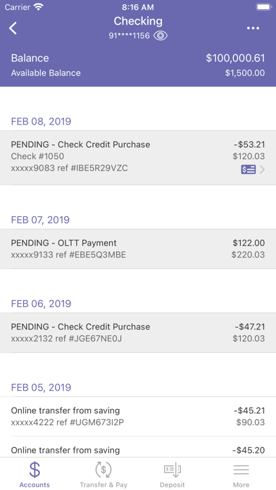 Hamilton Horizons FCU Screenshot