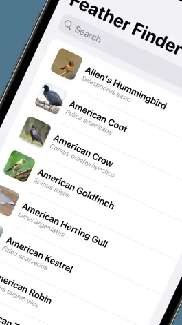 Game screenshot Feather Finder - A Bird Guide mod apk