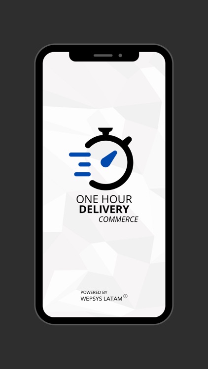 One Hour Delivery Commerce
