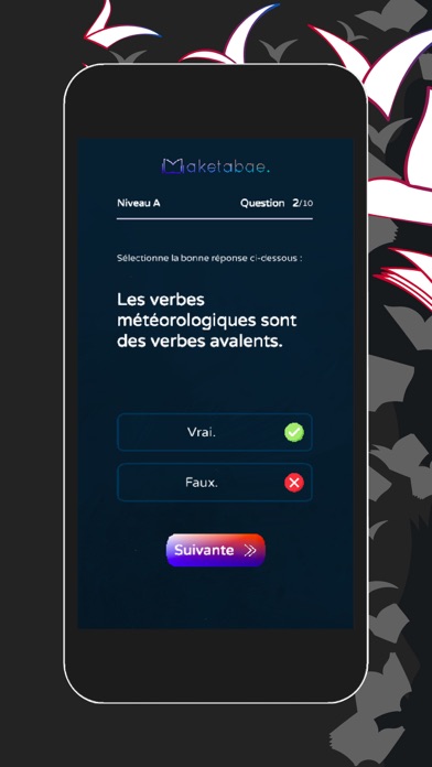 Test & Questionnaire in French Screenshot