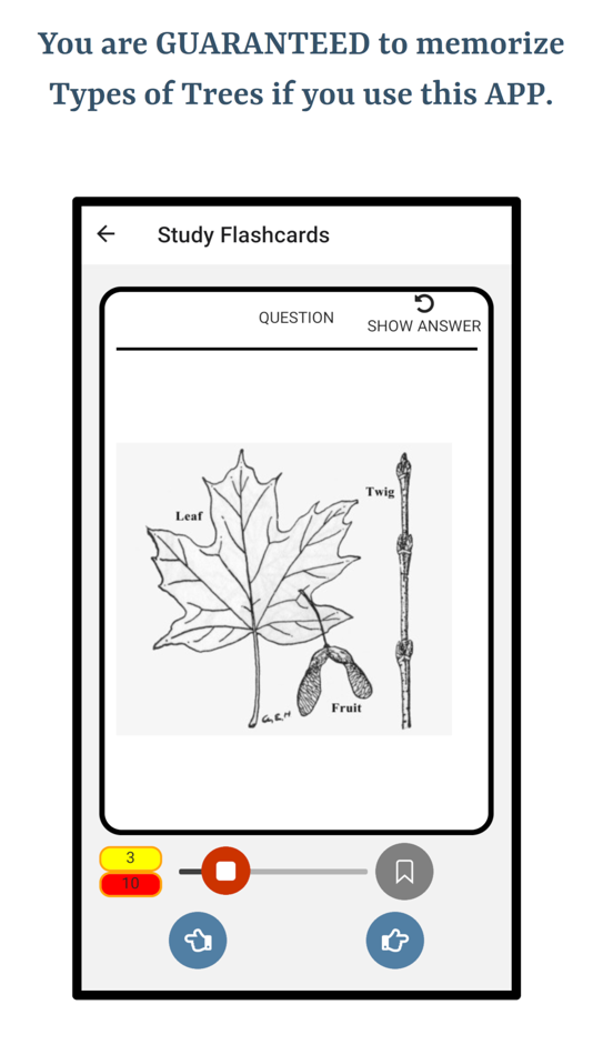 #5. Guess Trees From Leaves (iOS) Podle: Ghumman Tech LLC