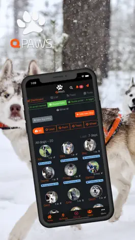 Game screenshot QPaws mod apk