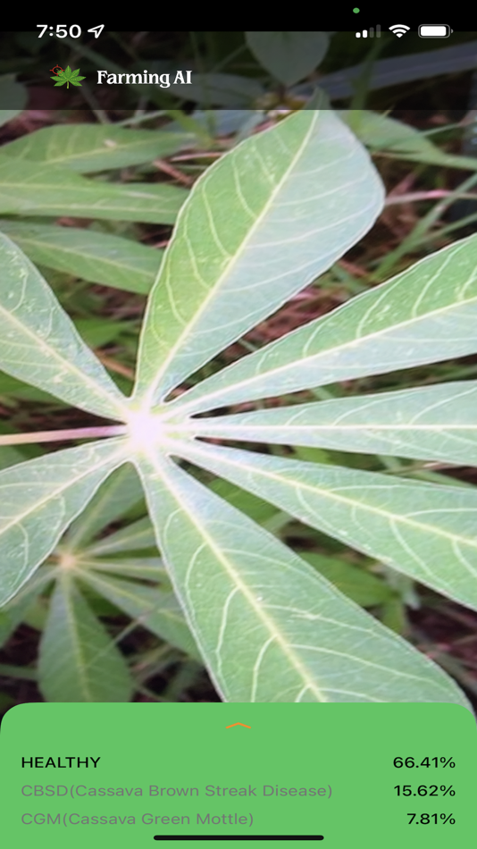 #6. Cassava Disease Diagnosis (iOS) Podle: Haesung Lee