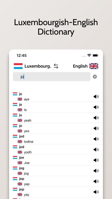 Luxembourgish-Eng Dictionary Screenshot