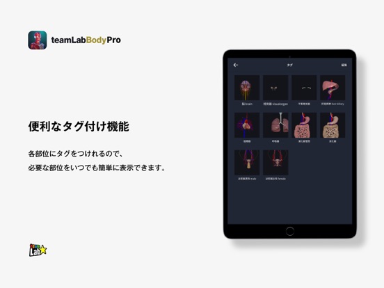 チームラボボディPro(プロ)人体の解剖 解剖学のおすすめ画像6