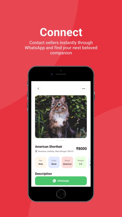 Petbey: Where Pets Find Homes