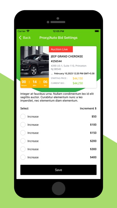 Autoauctioned Screenshot