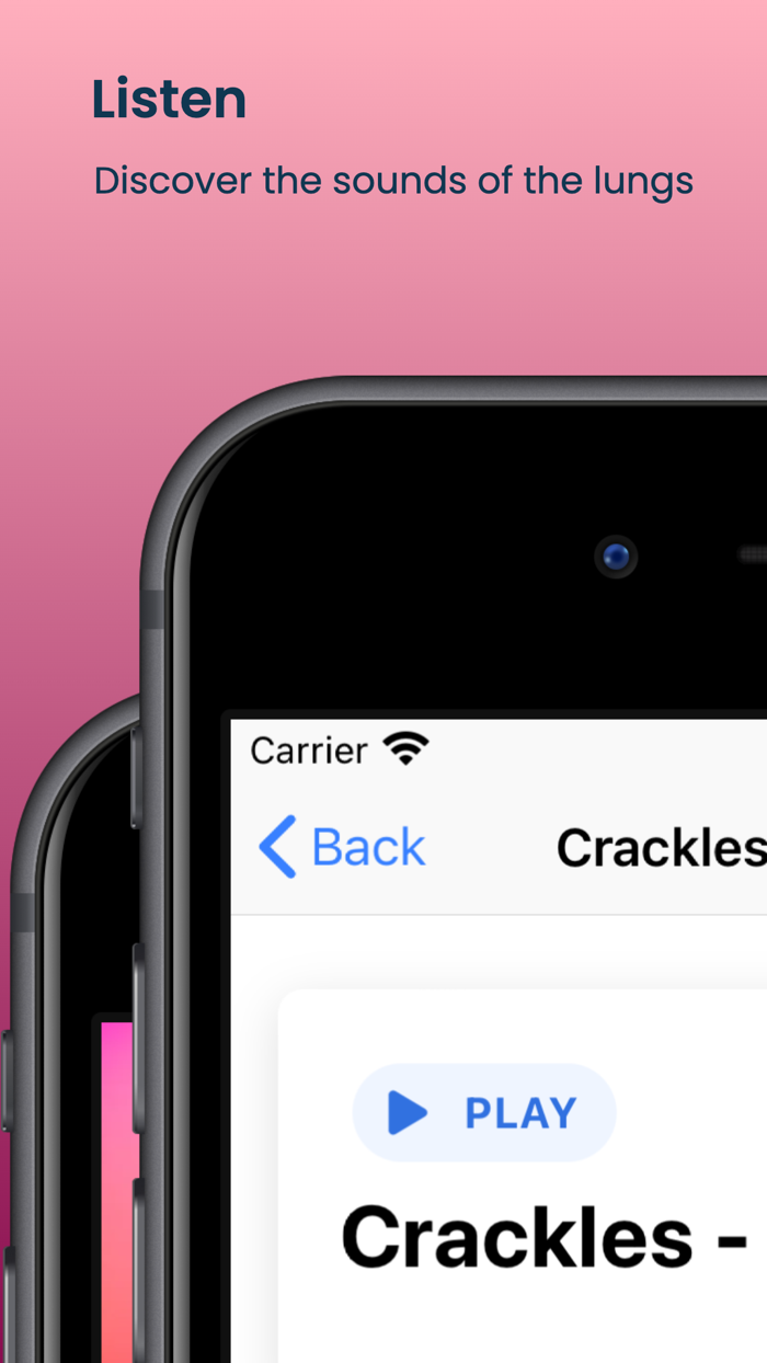 Respiratory and Lung sounds
