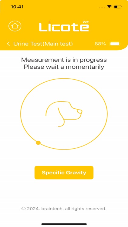 Licote pet - 리코테 동물