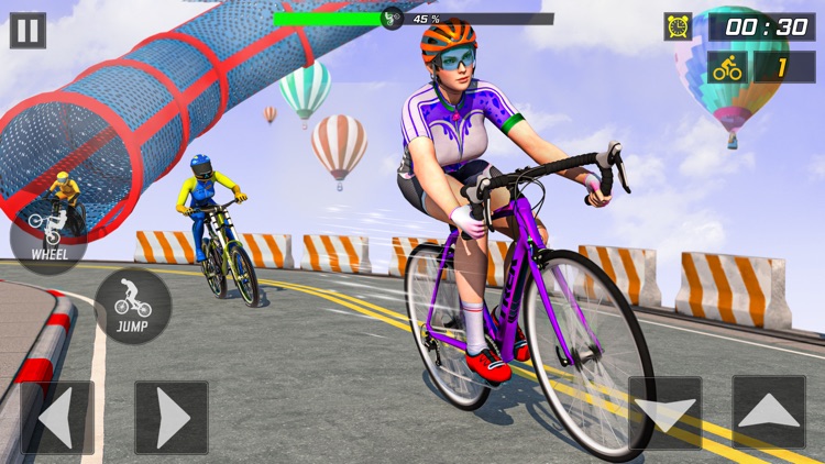 Super BMX Stunt Master