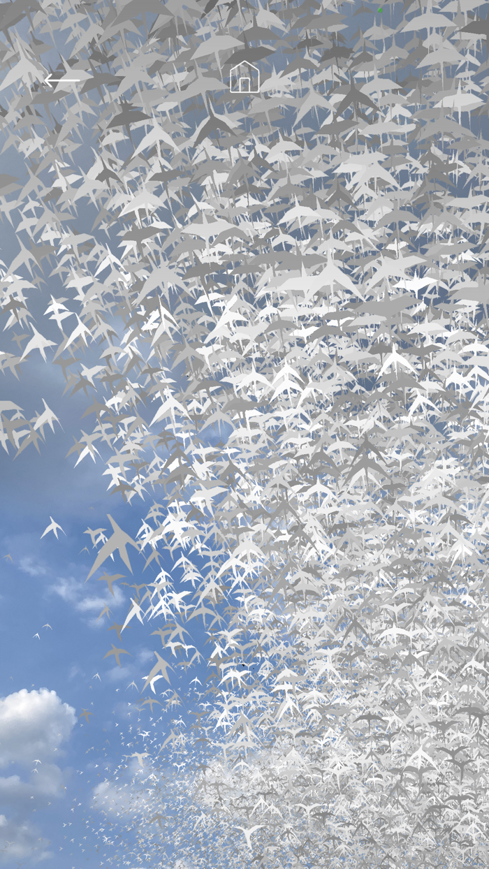 Les oiseaux de la Philharmonie