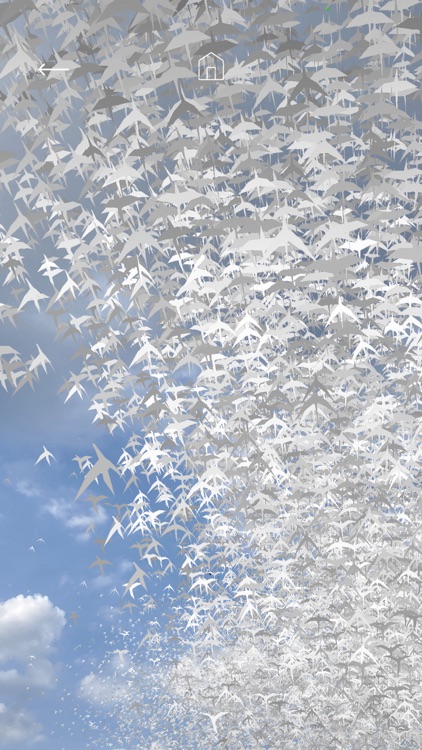 Les oiseaux de la Philharmonie screenshot-5