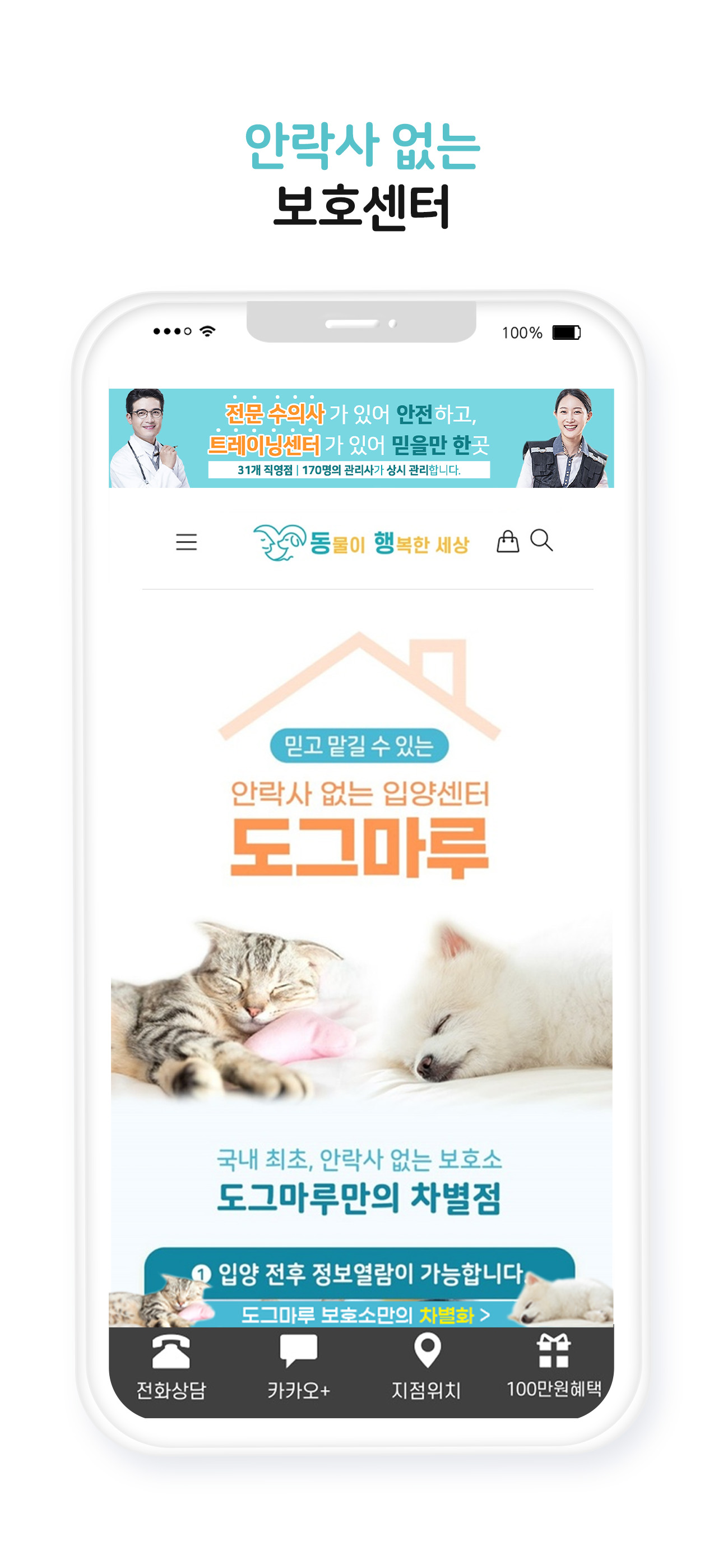 도그마루 보호소 - 강아지무료분양 고양이무료분양