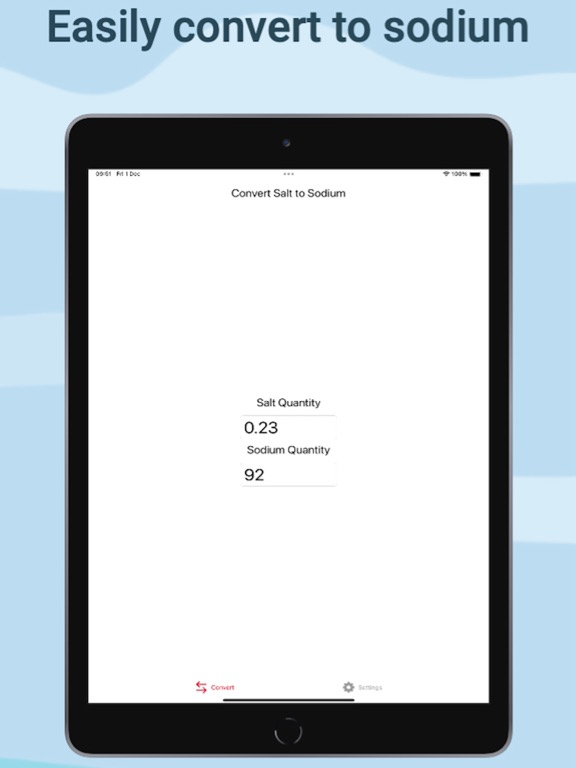 SodiumCalc iPad screenshot