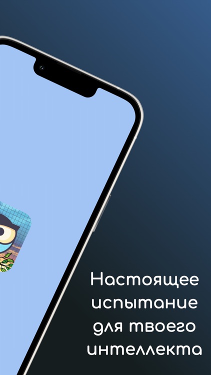 Вордекс: Кроссворды