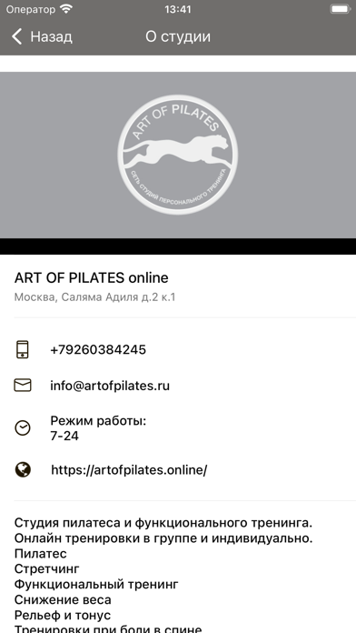 Art Of Pilates online Screenshot
