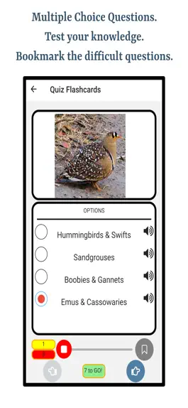 Game screenshot Types Of Birds hack
