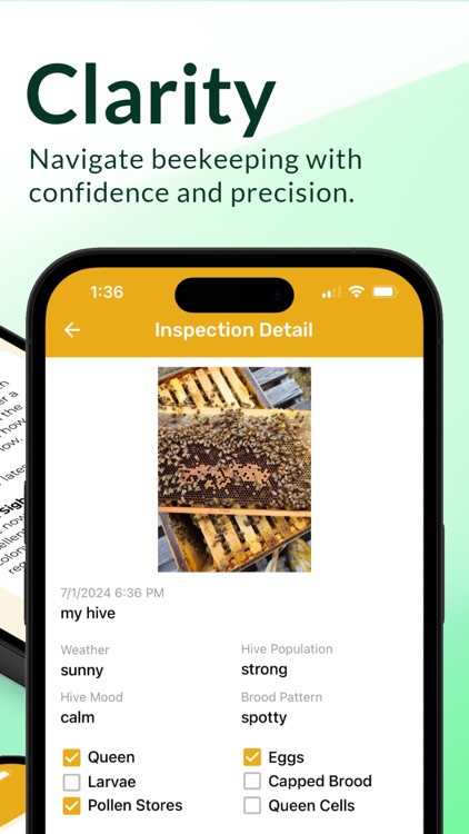 HiveHelp.AI: Beekeeper's App