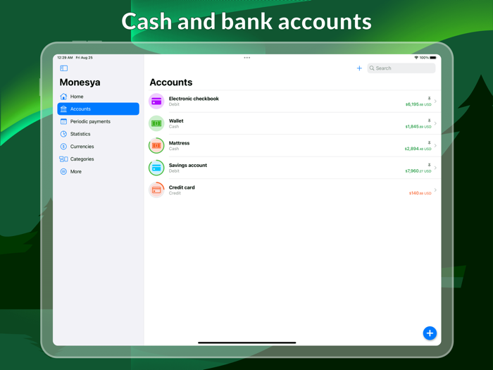 Monesya Personal finance