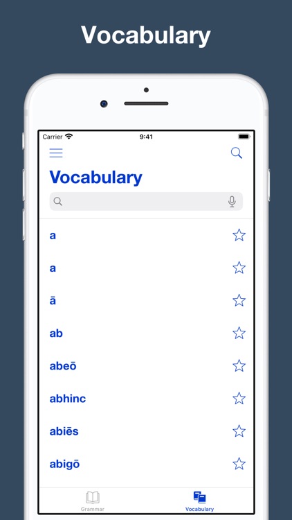 A Latin Grammar screenshot-4
