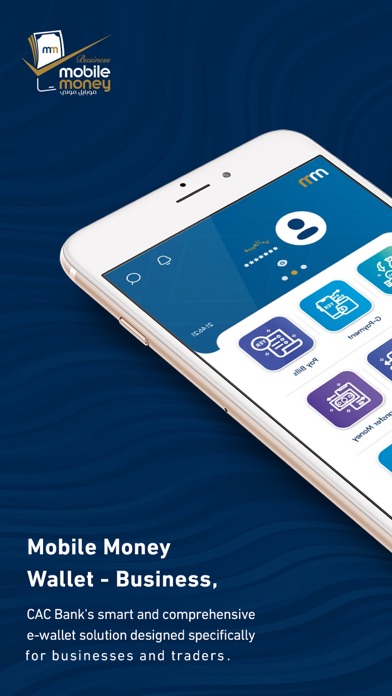 Mobile Money Business Screenshot