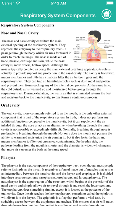 Anatomy : Respiratory Systemのおすすめ画像7