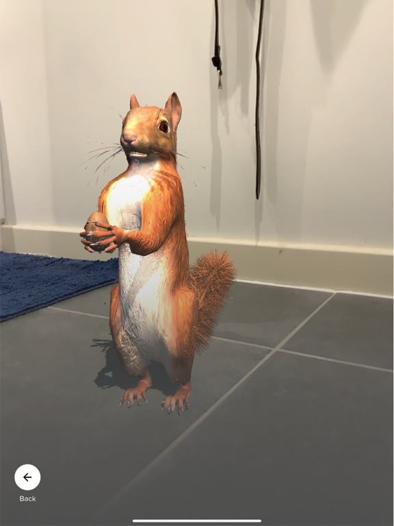 Screenshot #4 pour Highland Titles