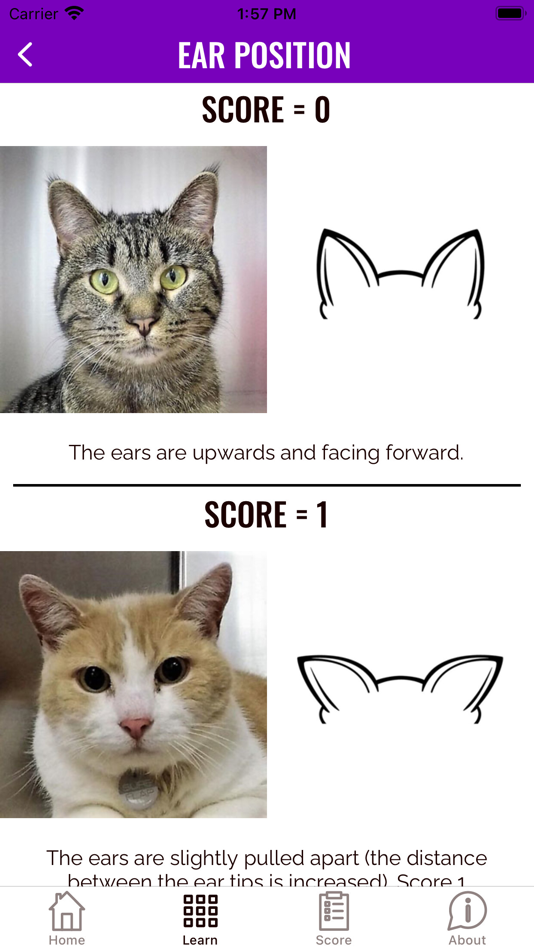 #2. Feline Grimace Scale (iOS) By: Steagall Laboratory