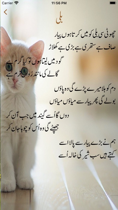 Urdu Rhymes Poem Screenshot