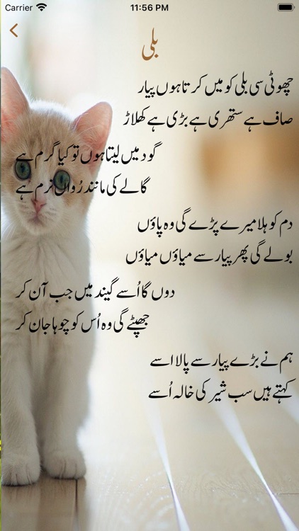 Urdu Rhymes Poem screenshot-6